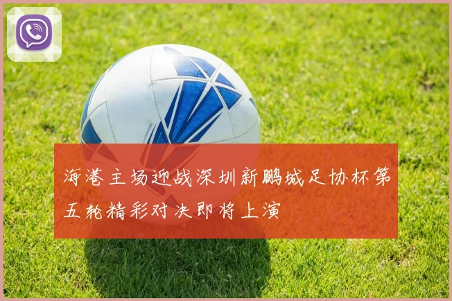 海港主场迎战深圳新鹏城足协杯第五轮精彩对决即将上演