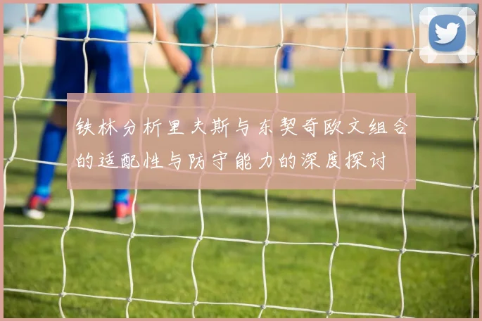 铁林分析里夫斯与东契奇欧文组合的适配性与防守能力的深度探讨