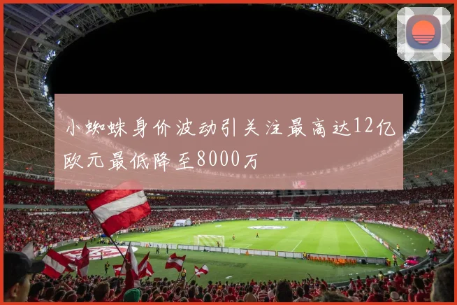 小蜘蛛身价波动引关注最高达12亿欧元最低降至8000万