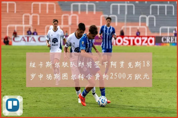 纽卡斯尔联队即将签下阿贾克斯18岁中场斯图尔转会费约2500万欧元